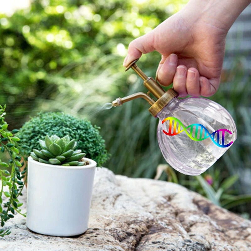 Спрей с ДНК