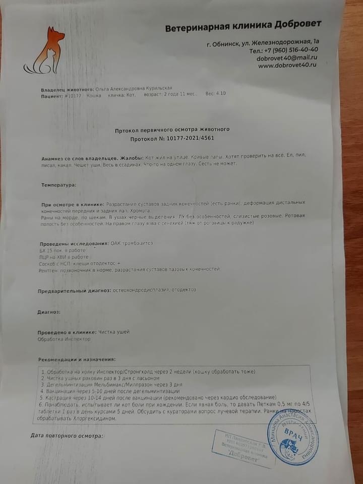 Выписка от доктора 
