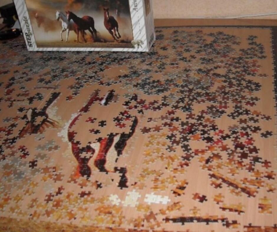 Фото из презентации Софьи Омелечко