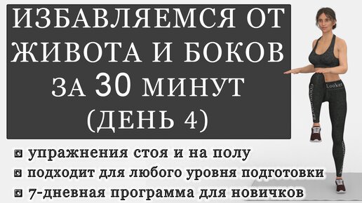 Тренировка для избавления от живота и боков на 30 минут. День 4 (Программа для начинающих)