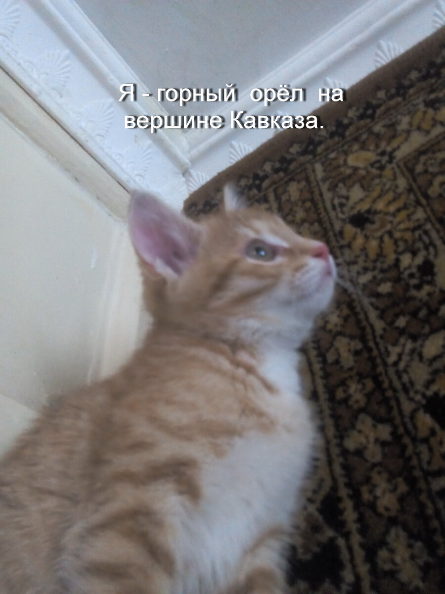 Личное фото.