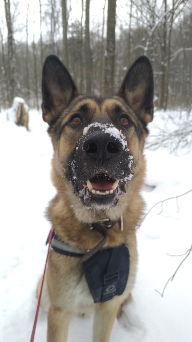 Всем привет 🙋
