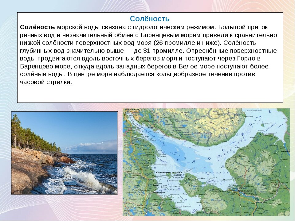 Балтийское море соленость. Соленость Баренцева моря. Баренцево море соленость воды. Соленость белого моря. Солёность кбаренцево моря в промилле.