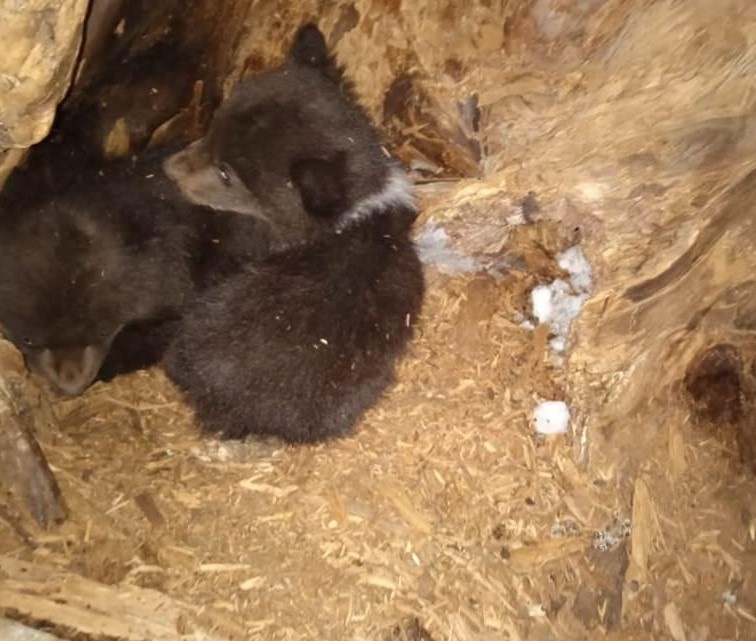 Фото: пресс-служба правительства ЛО