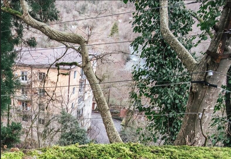 Свободный источник