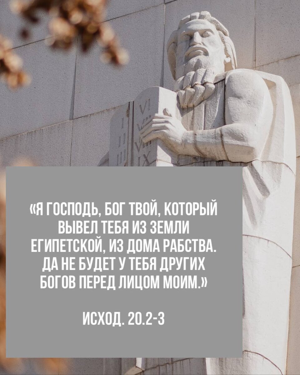 Фото взято с сайта: https://unsplash.com/