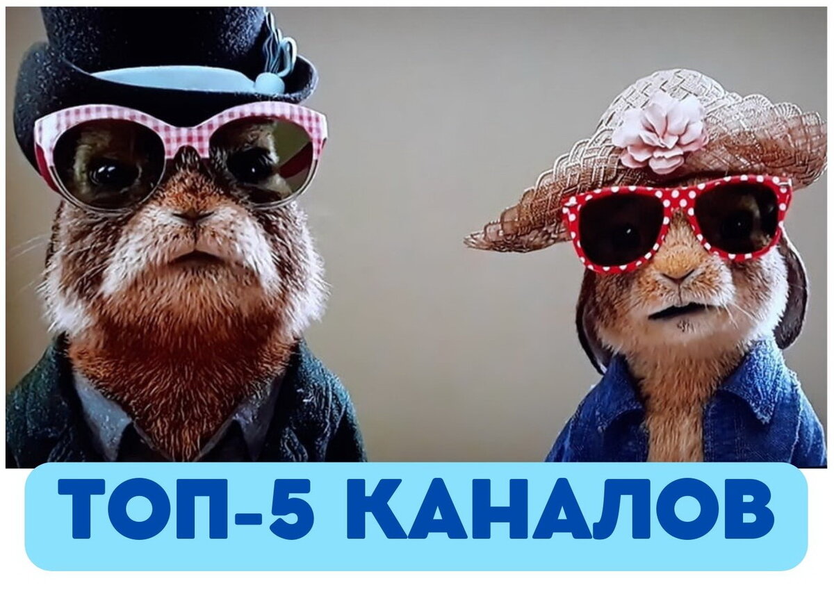 Изображение взято из открытых источников интернета.