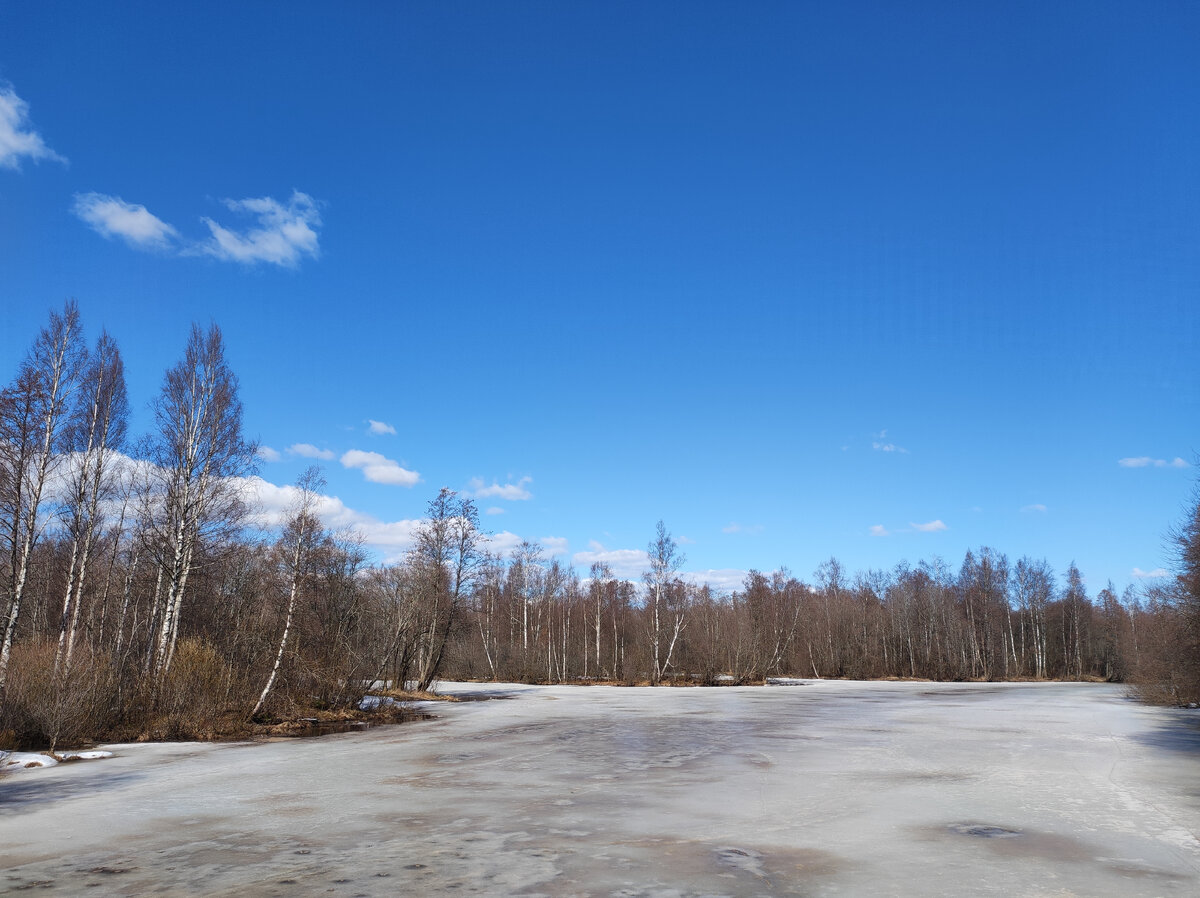 Река Сестра