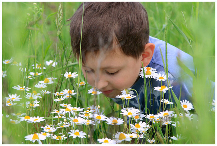 Яндекс фото