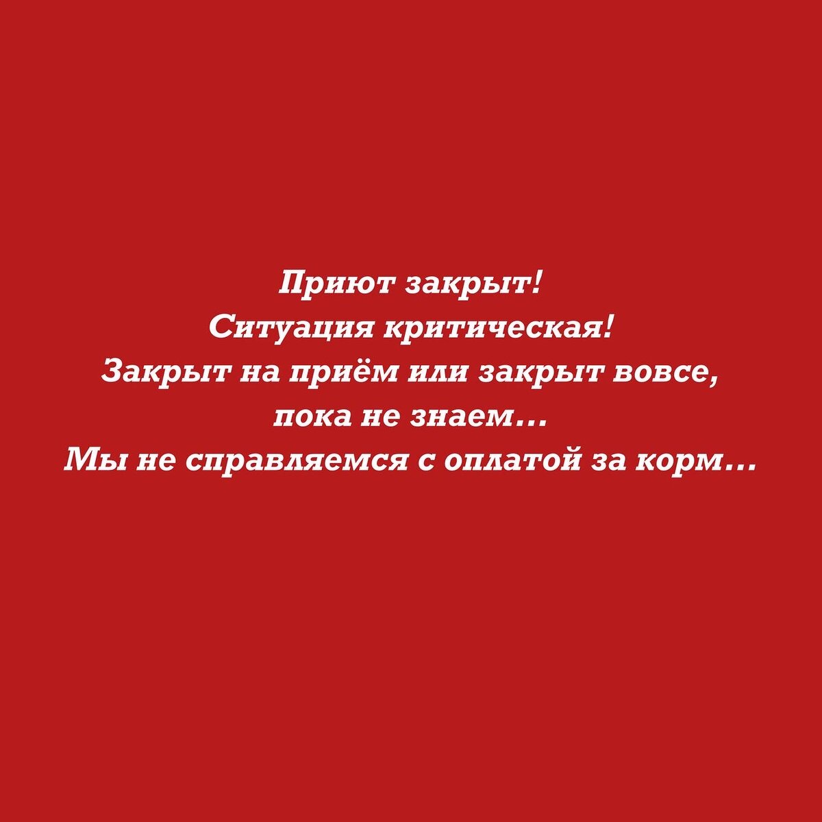 Приют закрыт, скорее всего совсем… | Приют для животных «Хвостатый дом» |  Дзен