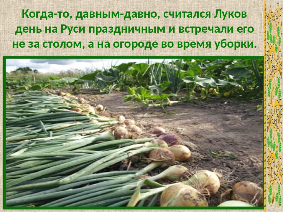 5 мая народный календарь в картинках