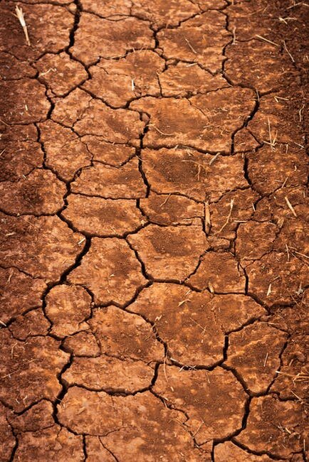 Фото автора Lucas George Wendt: Pexels