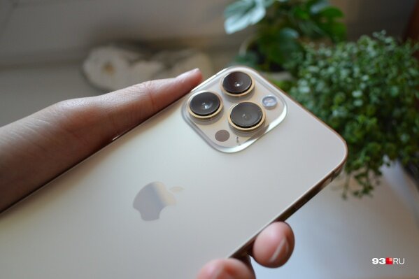 фото с новостного сайта