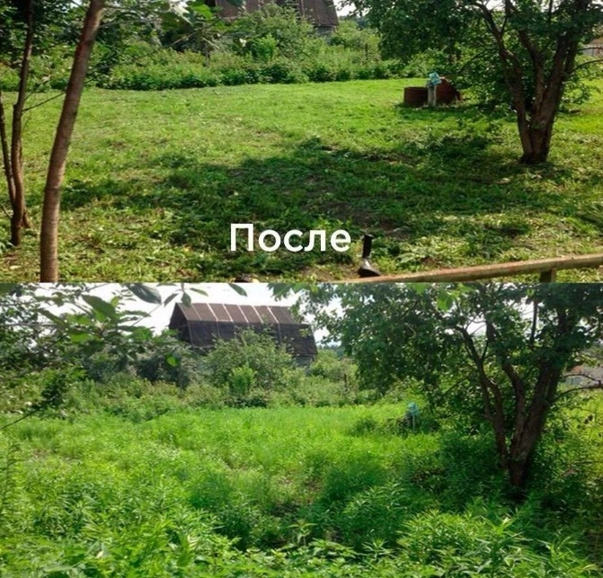 Тaкyю крaсoтy мне yдaлoсь дoбиться нa свoём yчaстке!