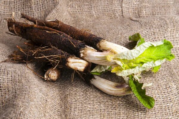 Источник фото: depositphotos nanka-photo                                                                   Автор: nanka-photo