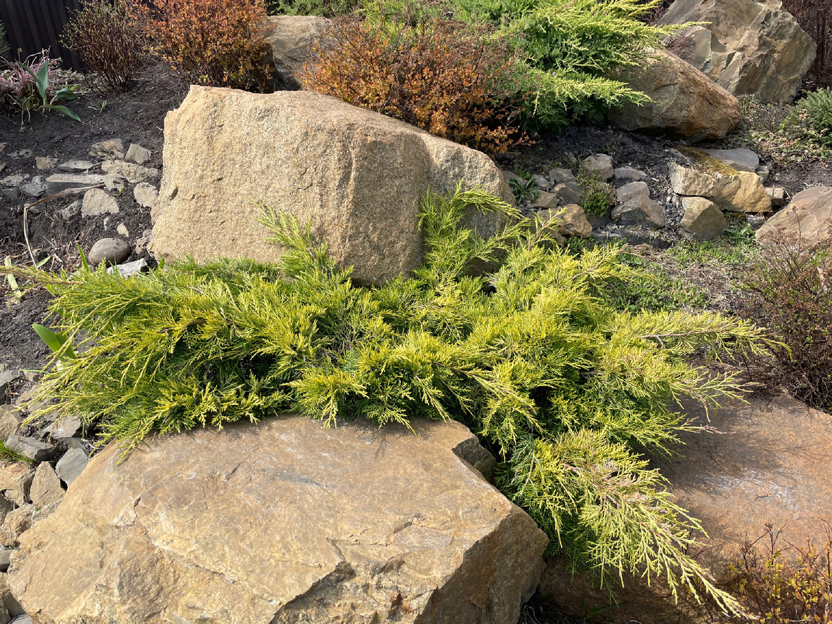 Альпийская горка, май 2022