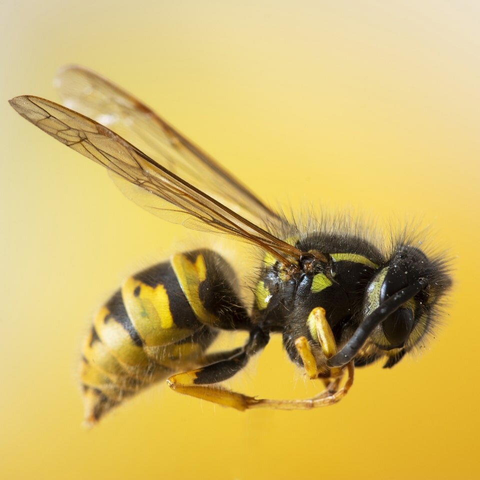 Источник: freepik.com