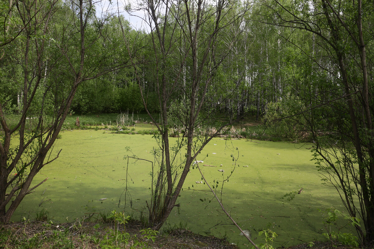 Парк каменка