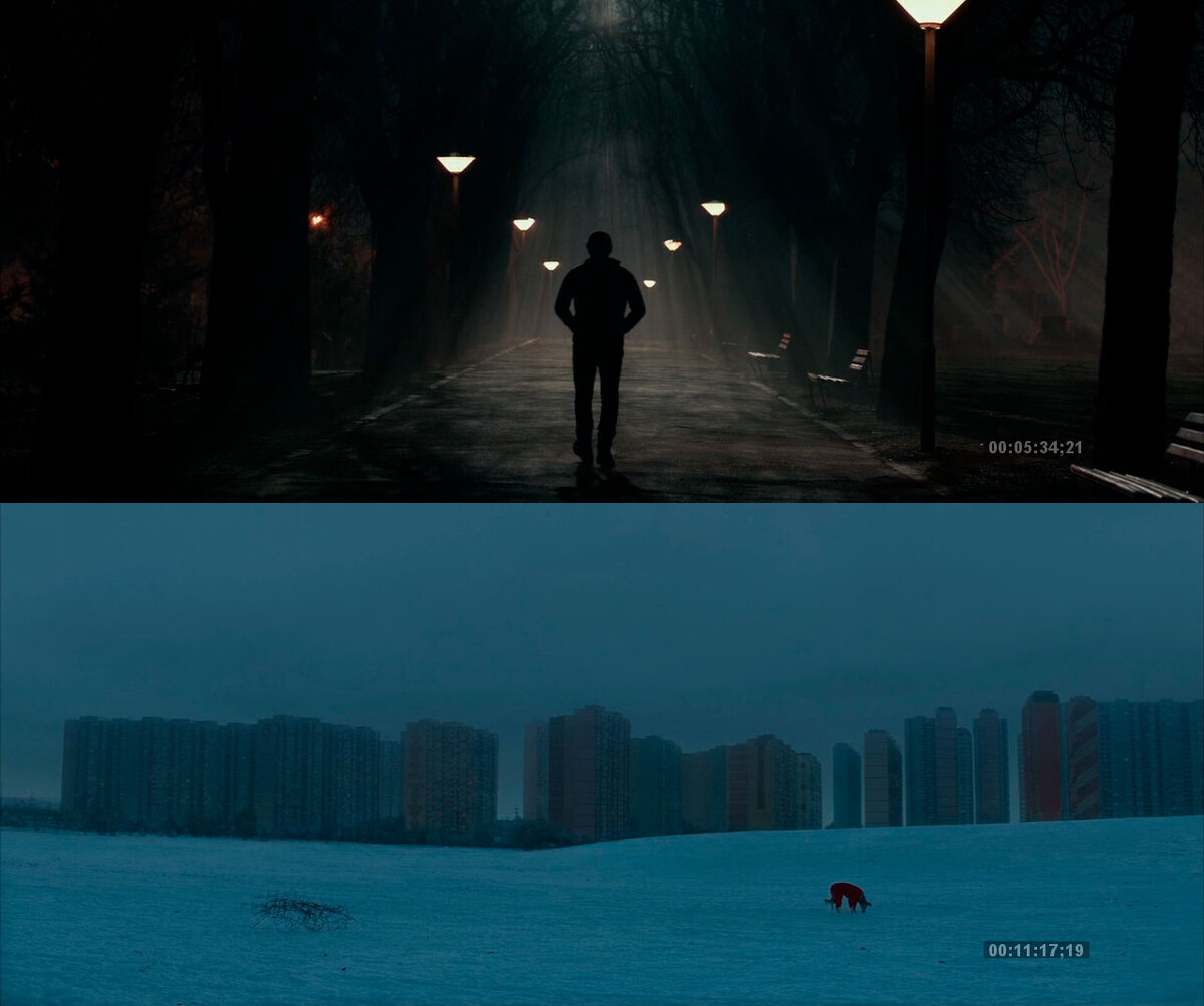 пропаганда ночь