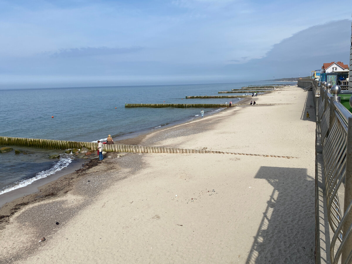 Зеленоградск - шикарный курорт на берегу Балтийского моря. Кошки, старинные  дома, бескрайние пляжи и невероятная атмосфера | ОтЛичная Жизнь | Дзен