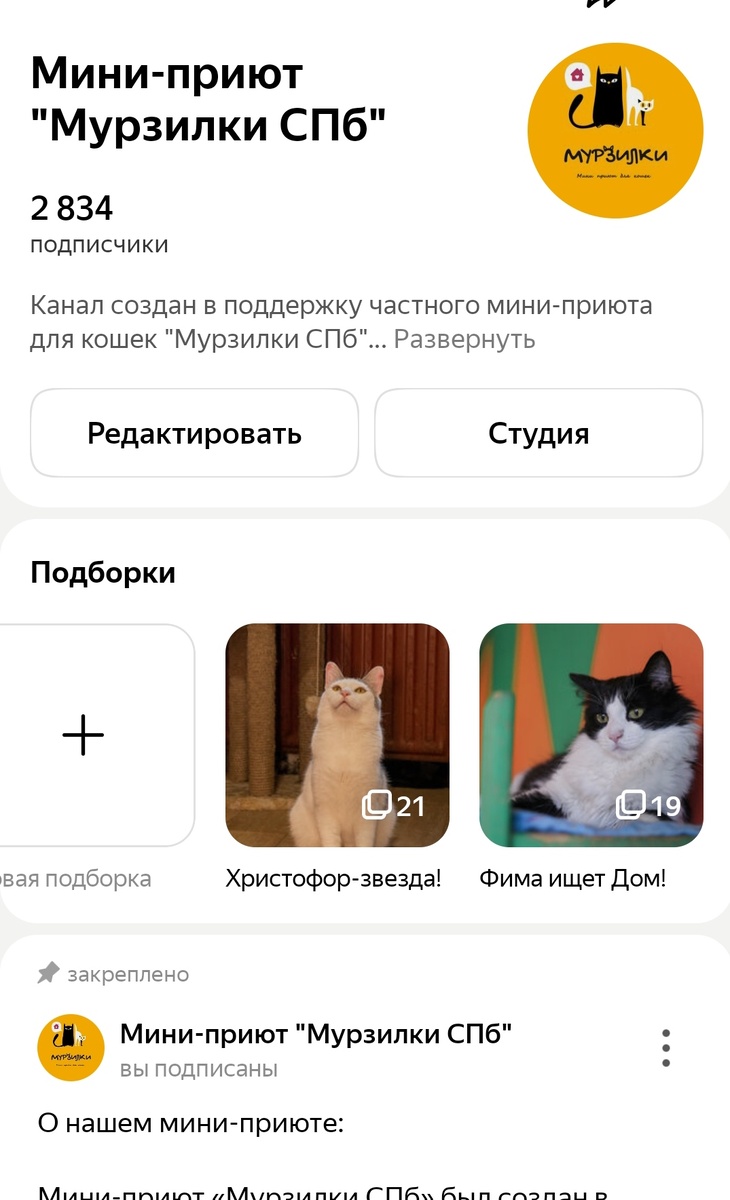 Скрин автора