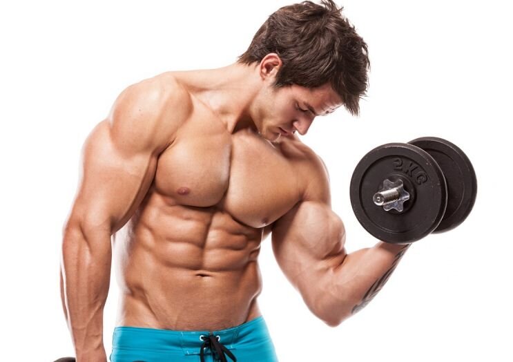 Сушка - это процесс снижения гликогена в мышцах