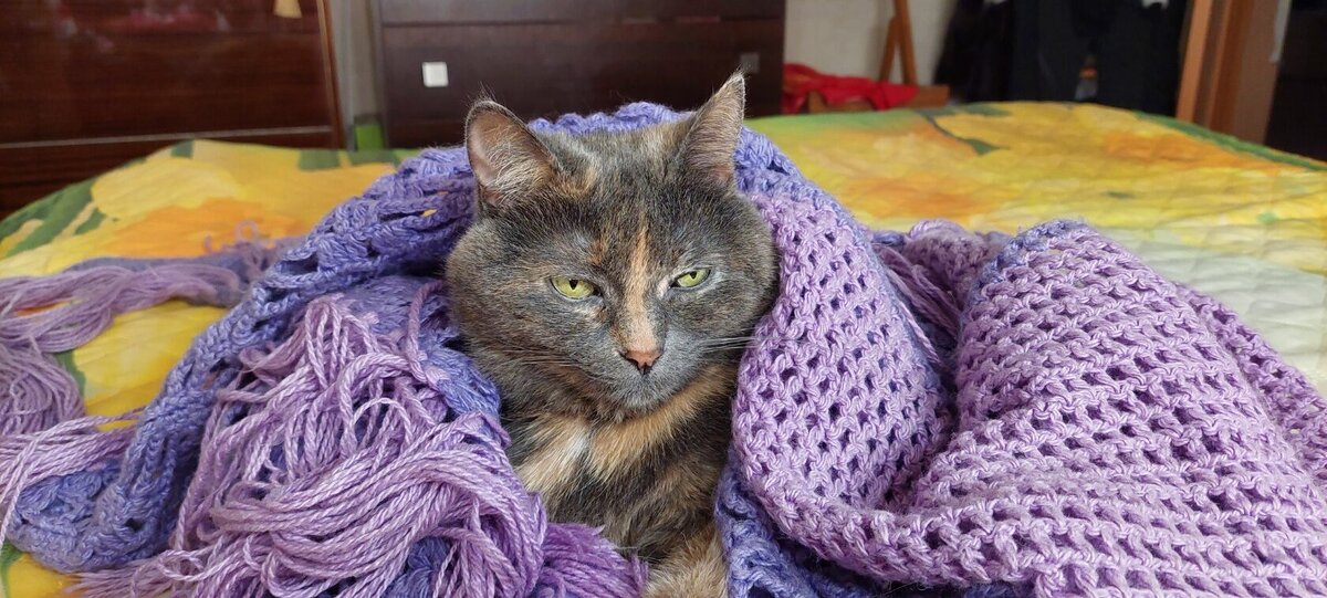 Ну чем не человек?