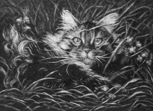 Работа Татьяны Абель