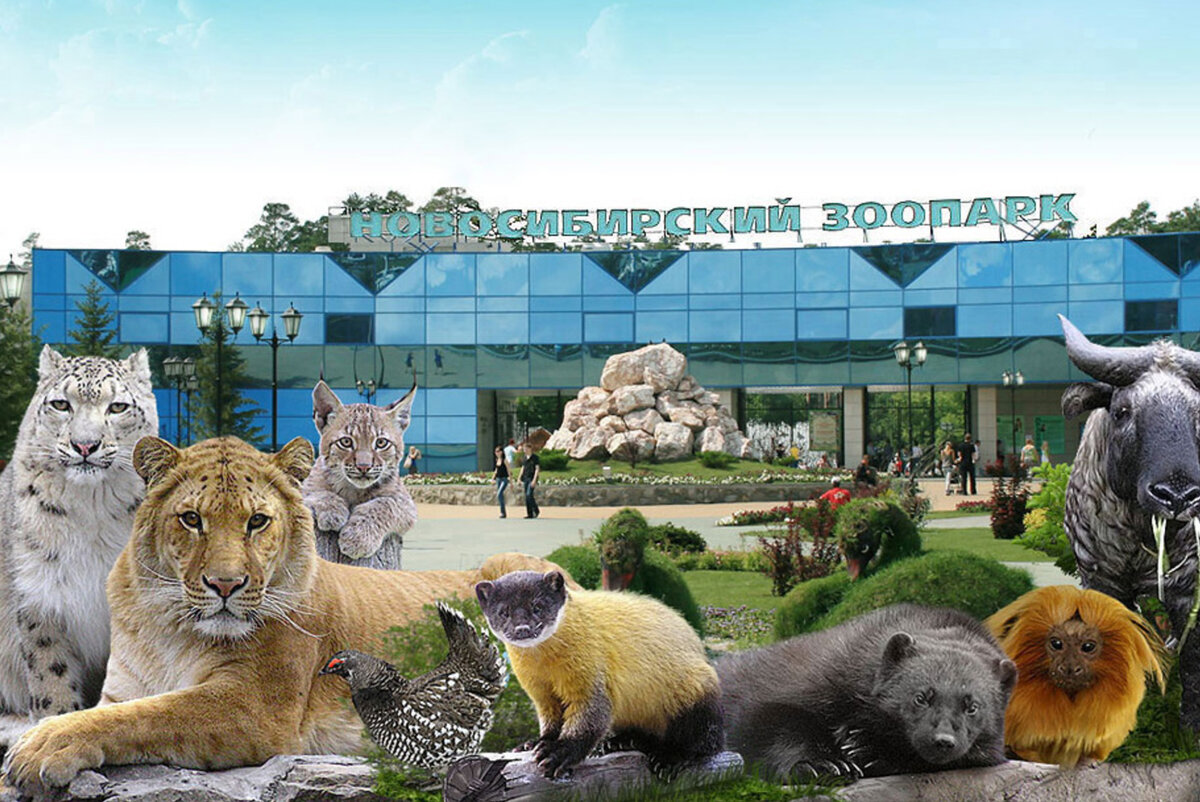 Все зоопарки в россии