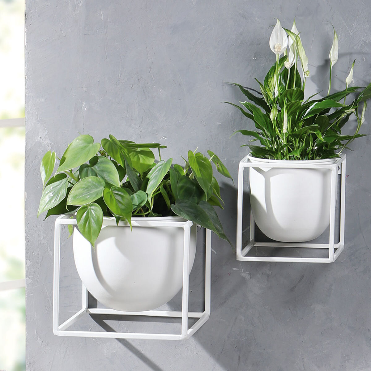 Кашпо настенное "White", большое (Артикул: 08782) ; Кашпо настенное "White", малое (Артикул: 08781)