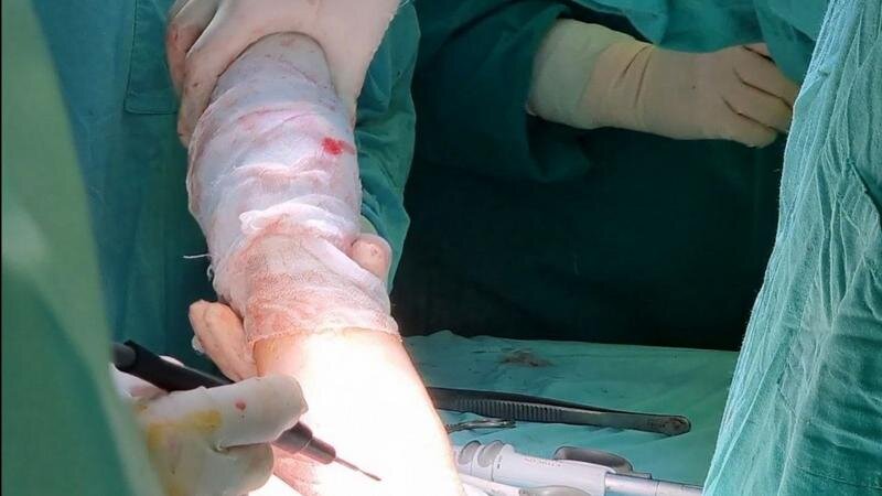    Фото: пресс-служба комитета по здравоохранению Санкт-Петербурга