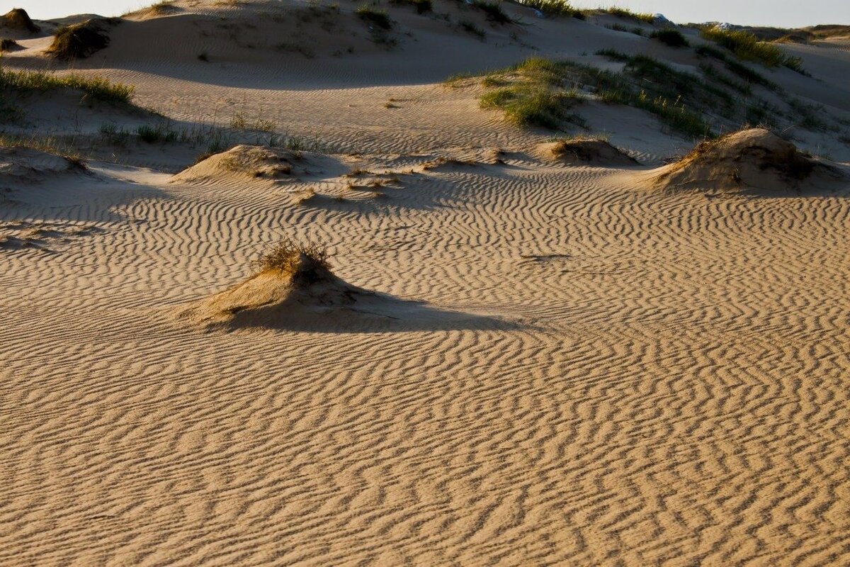 Пустыня Алёшковские Пески