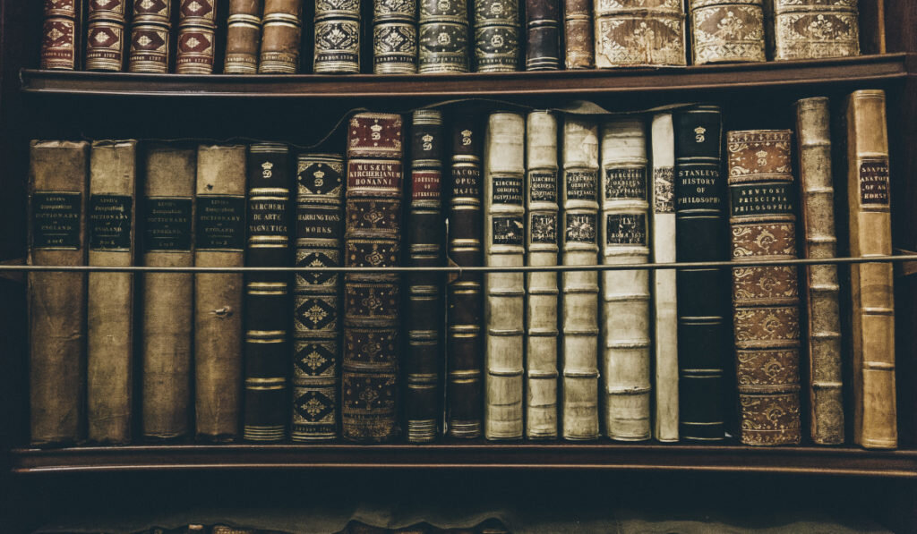 Cамосовершенствование начинается с саморазвития в области своих знаний.