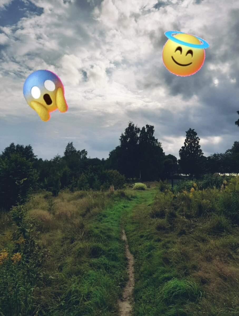 Фото сделано в Курортном районе Санкт-Петербурга в 2022 году.