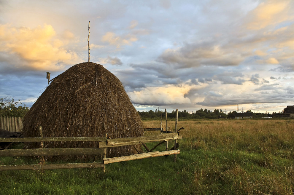 Яндекс картинки. Свободный доступ.