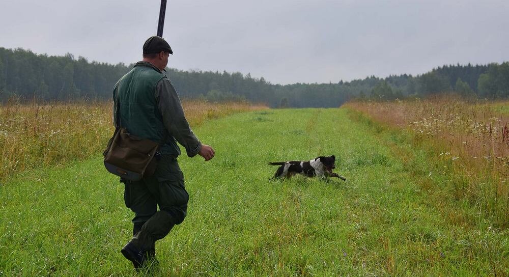 Охотник и его партнер