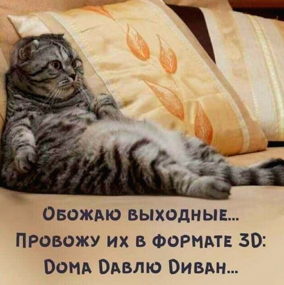 иллюстрация из яндекс картинки.