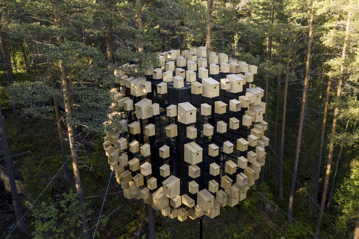     Дом-цветок и скворечник для человека: как архитекторы создают невероятные проекты, вдохновляясь природой