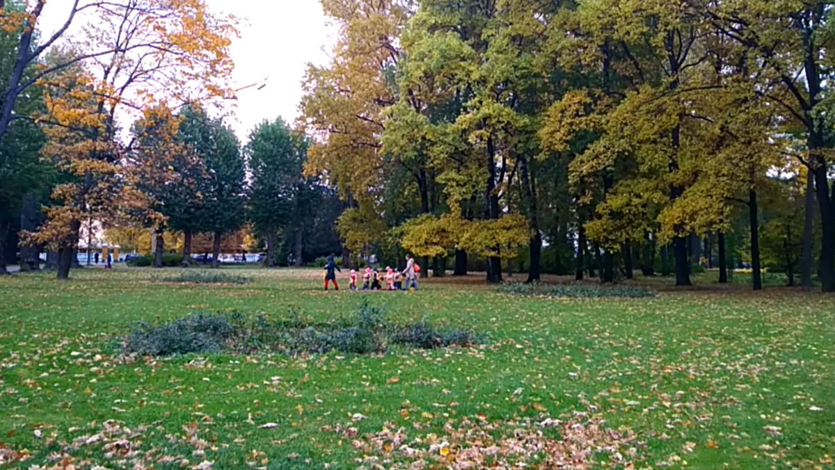 Удельный парк 07.10.22. Фото автора