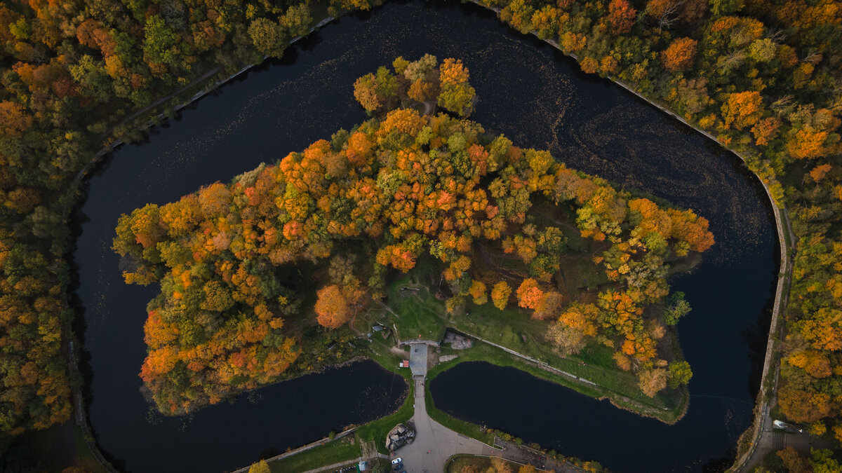 Фото с интернета.