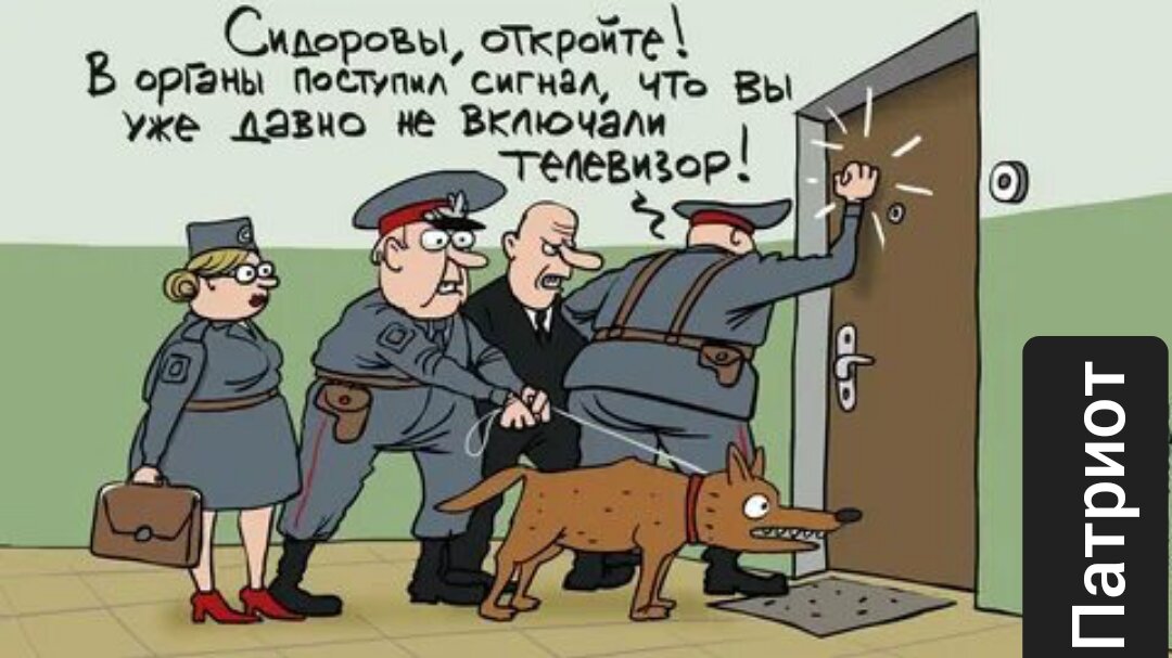 Фото из открытых источников