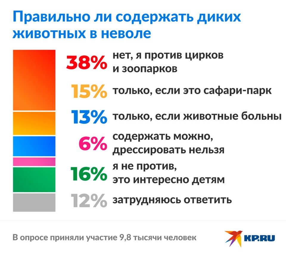   Юлия ЩЕРБАКОВА