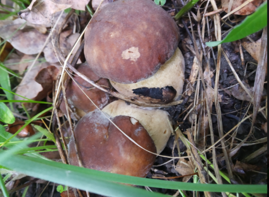 Автор фото Андрей Илюшин