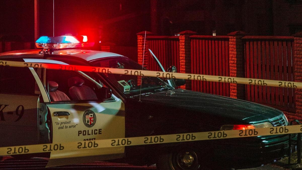    Полицейская машина:pexels.com