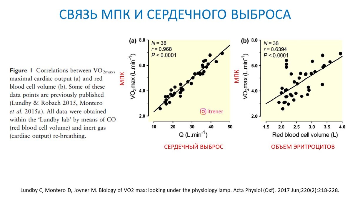Рисунок 1. Связь объема красных кровяных клеток и сердечного выброса с МПК.