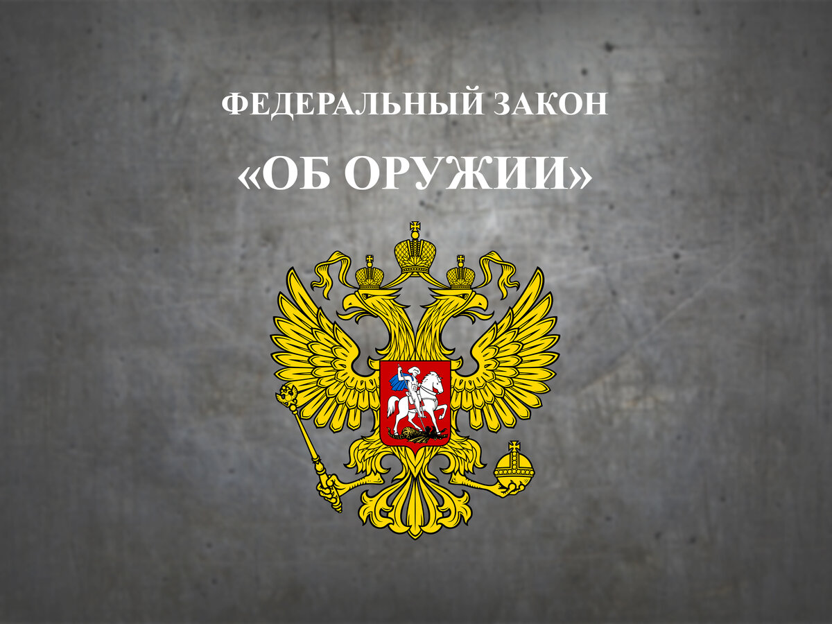 Презентация фз об оружии - 83 фото