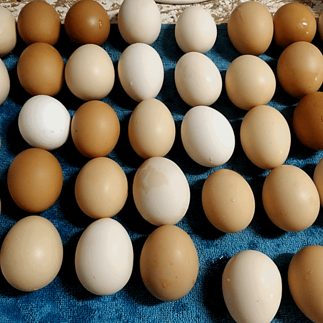 А это натуральное свежее яйцо от наших золотых курочек