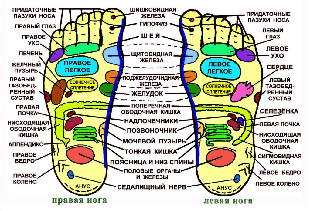 Рефлекторные зоны стоп
