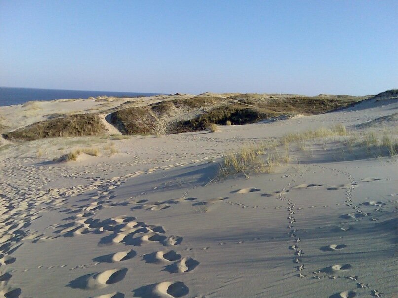 Пока я работал удаленно мы с семьей ездили в отпуск минимум 2 раза в год