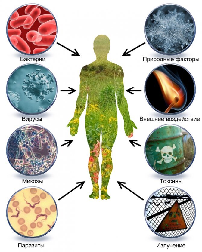 Внутри каждого целый мир, со своим эксклюзивным населением.